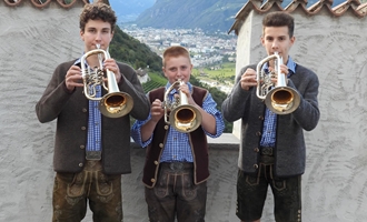 fluegelhorntrio-dowi